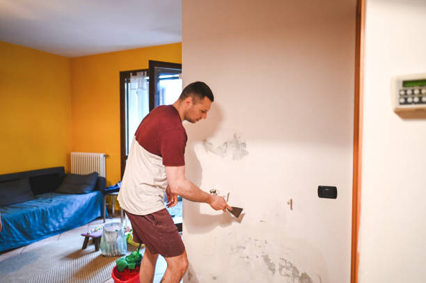 Best Mold Damage Repair  in Brookfield, IL